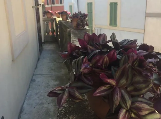 Via G Mameli 94 Apartment